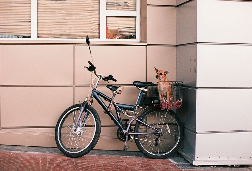 Photograph by Антон Бондарчук