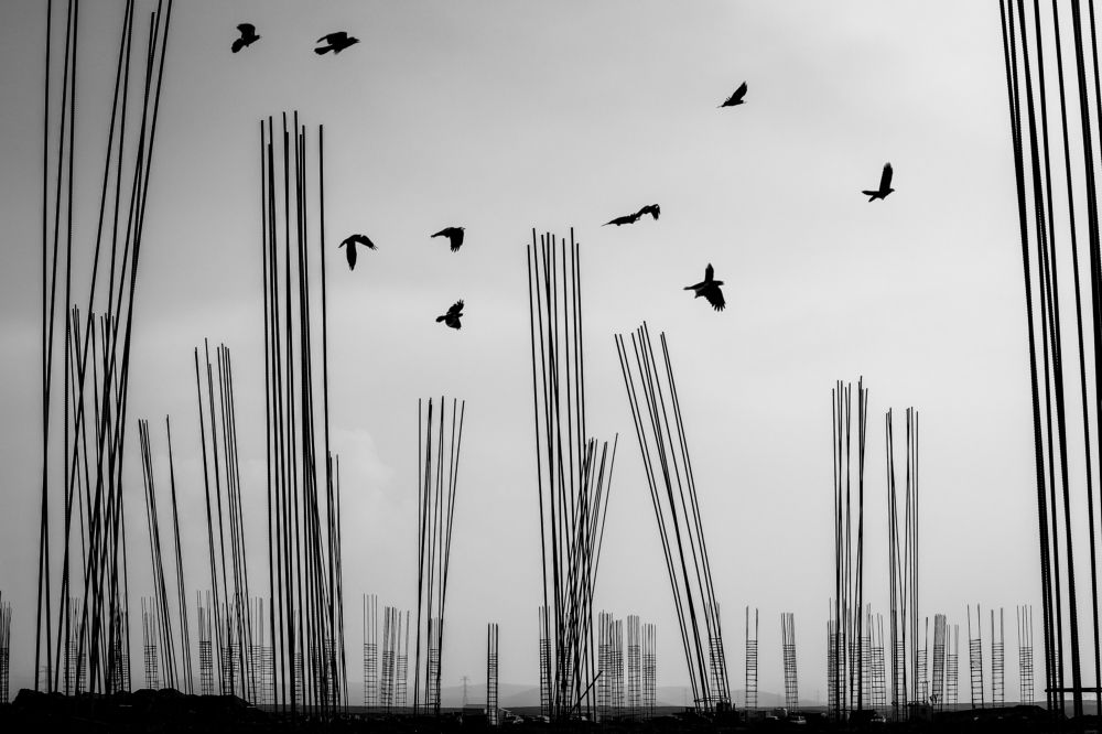 Фотография автора payman Mollaie