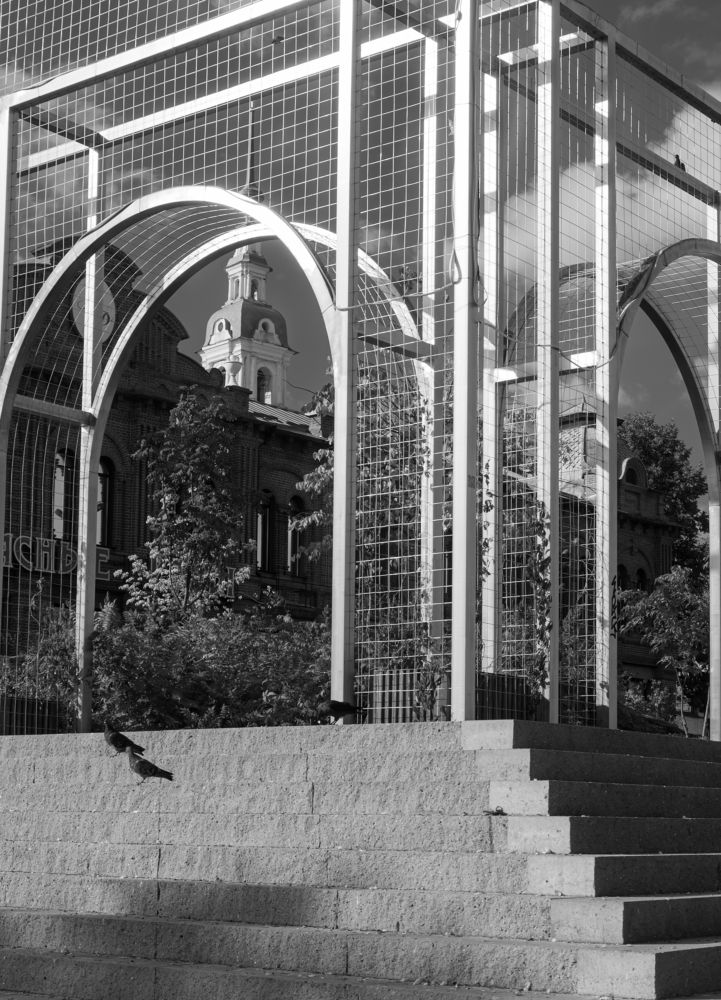 Photograph by Natalia Artamonova