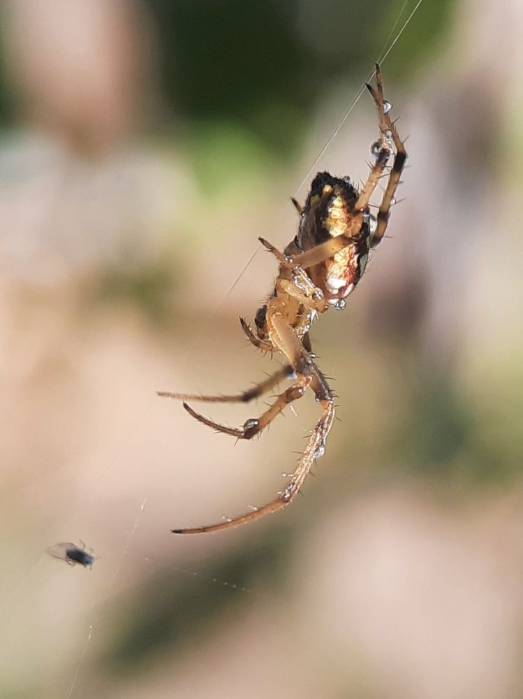 Photograph by Любовь Войтишина