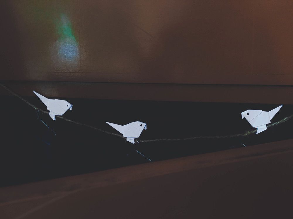 Photograph by Sr. Ma. Jenny Mhy-sy Yasa