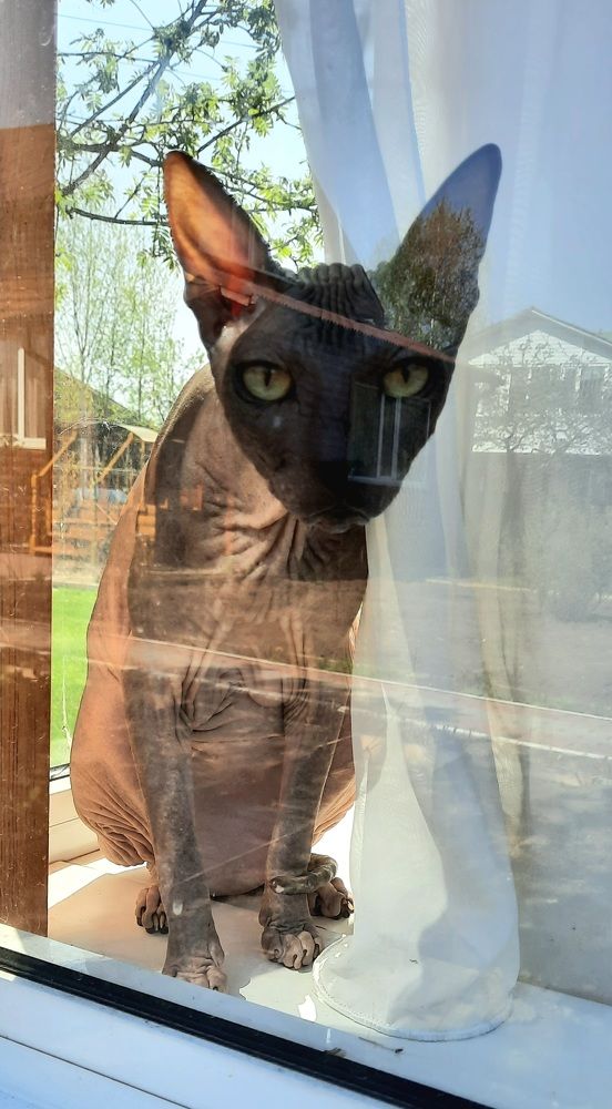 Photograph by Ирина Рогова