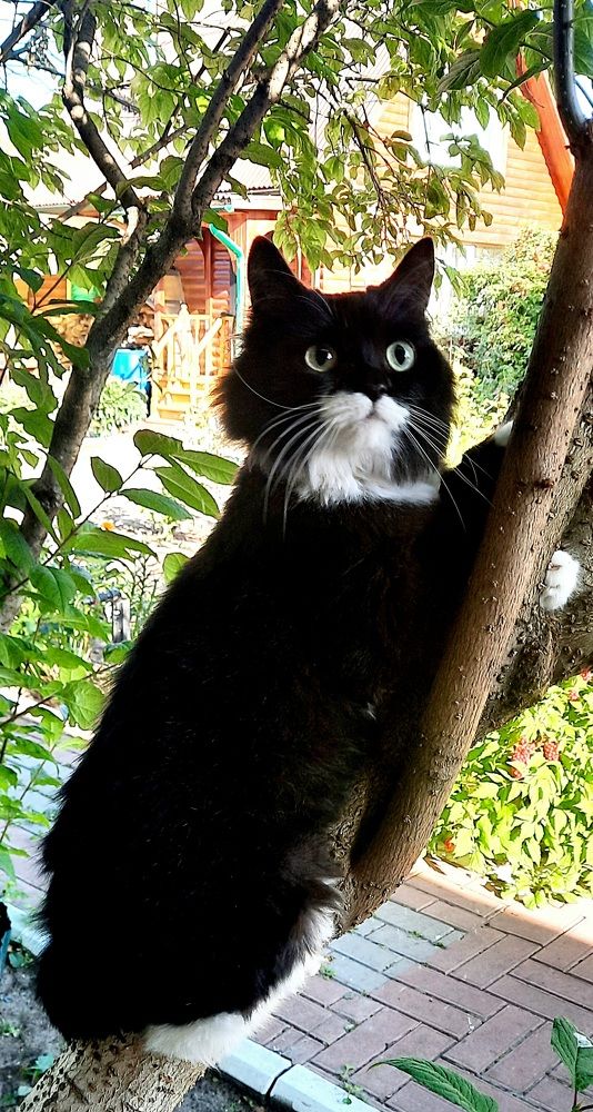 Photograph by Ирина Рогова