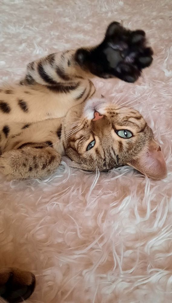 Photograph by Ирина Рогова