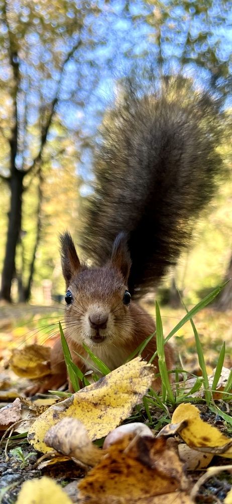 Photograph by Ирина