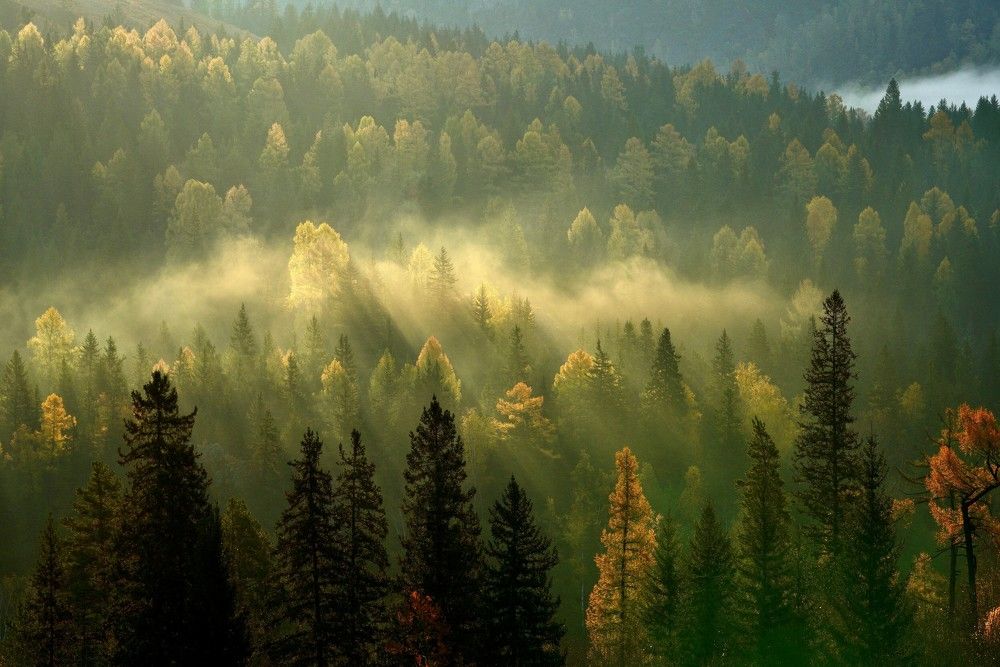 Первые утренние лучи