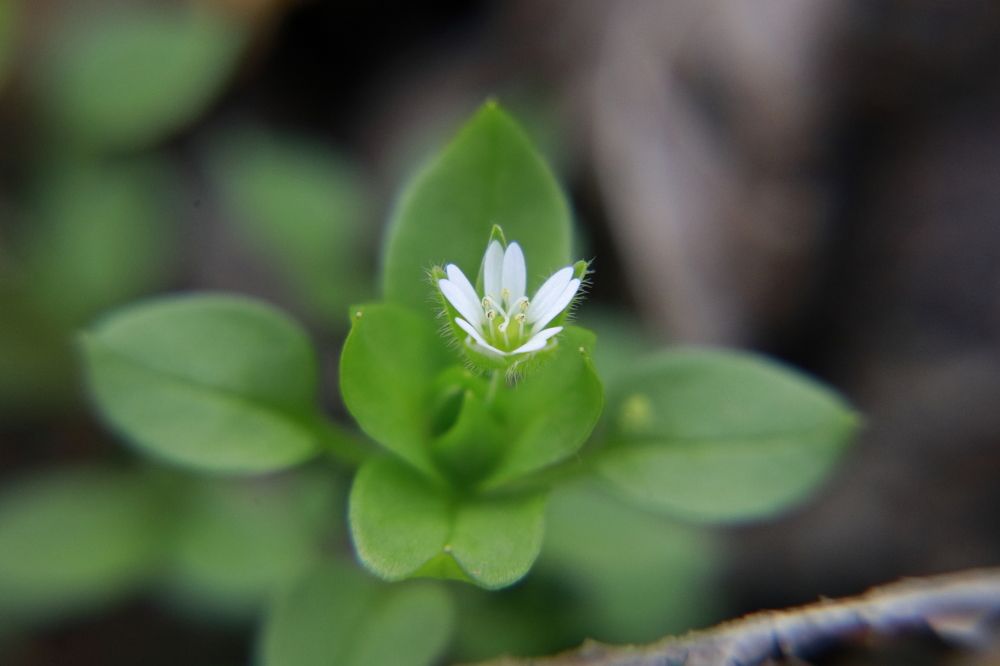 Photograph by Uktam Djalalov