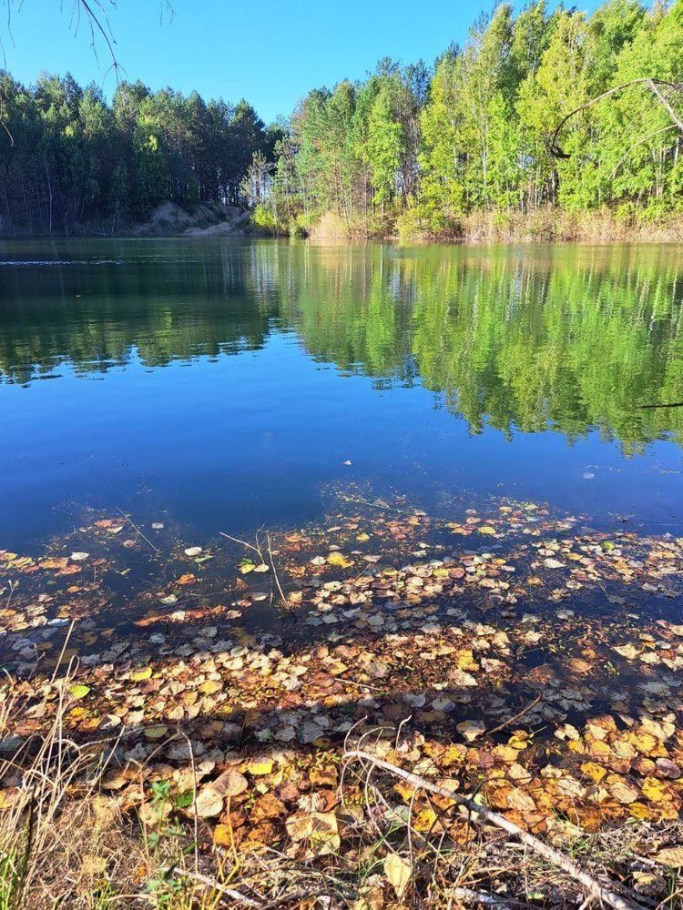 Photograph by Любовь Войтишина