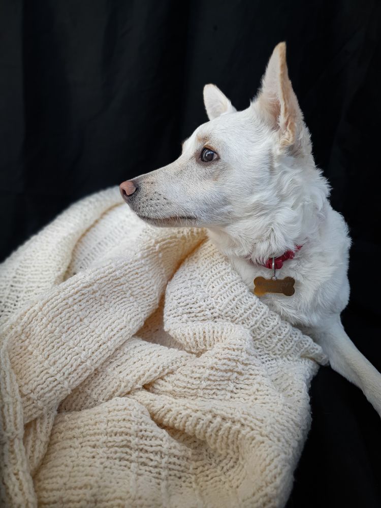 Фотография автора Ольга Шишук