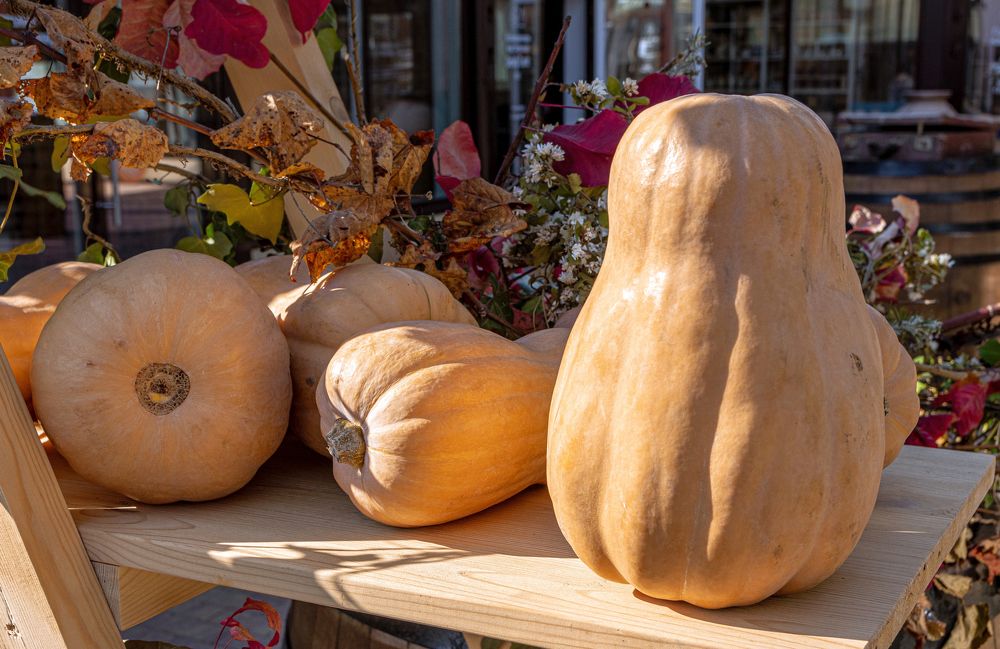 Photograph by Сергей Христинич