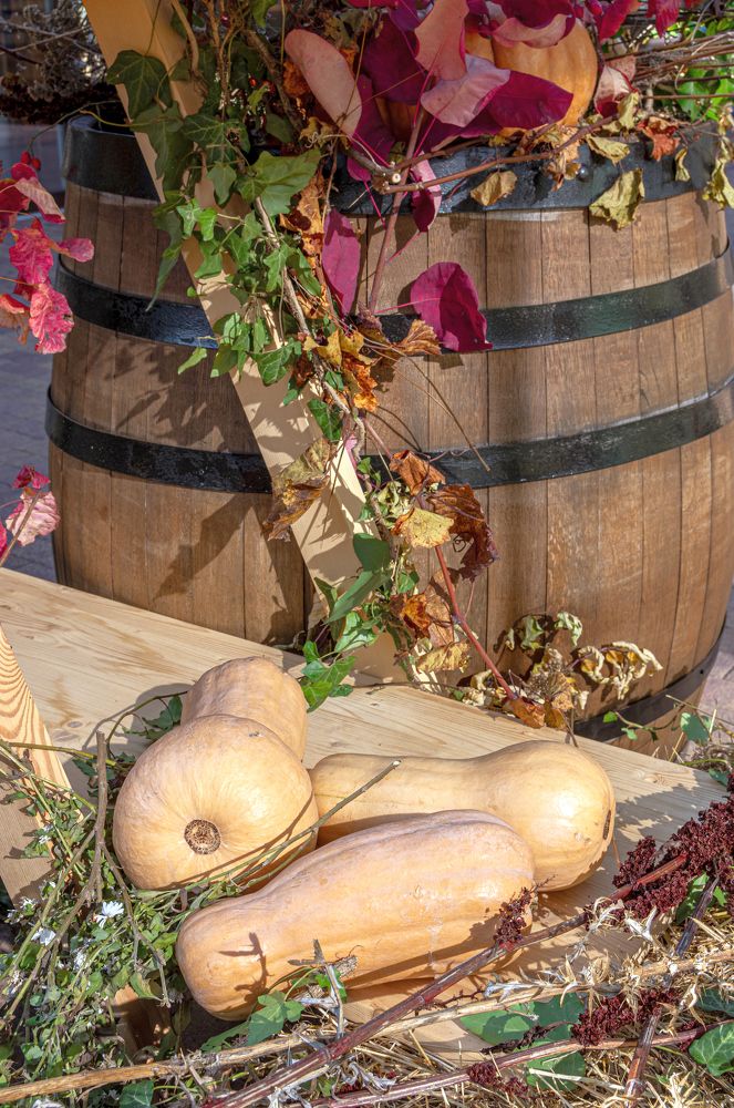 Photograph by Сергей Христинич