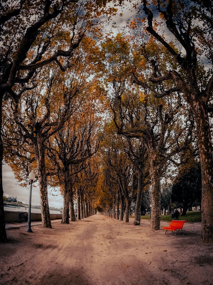 Photograph by Lucia Correia