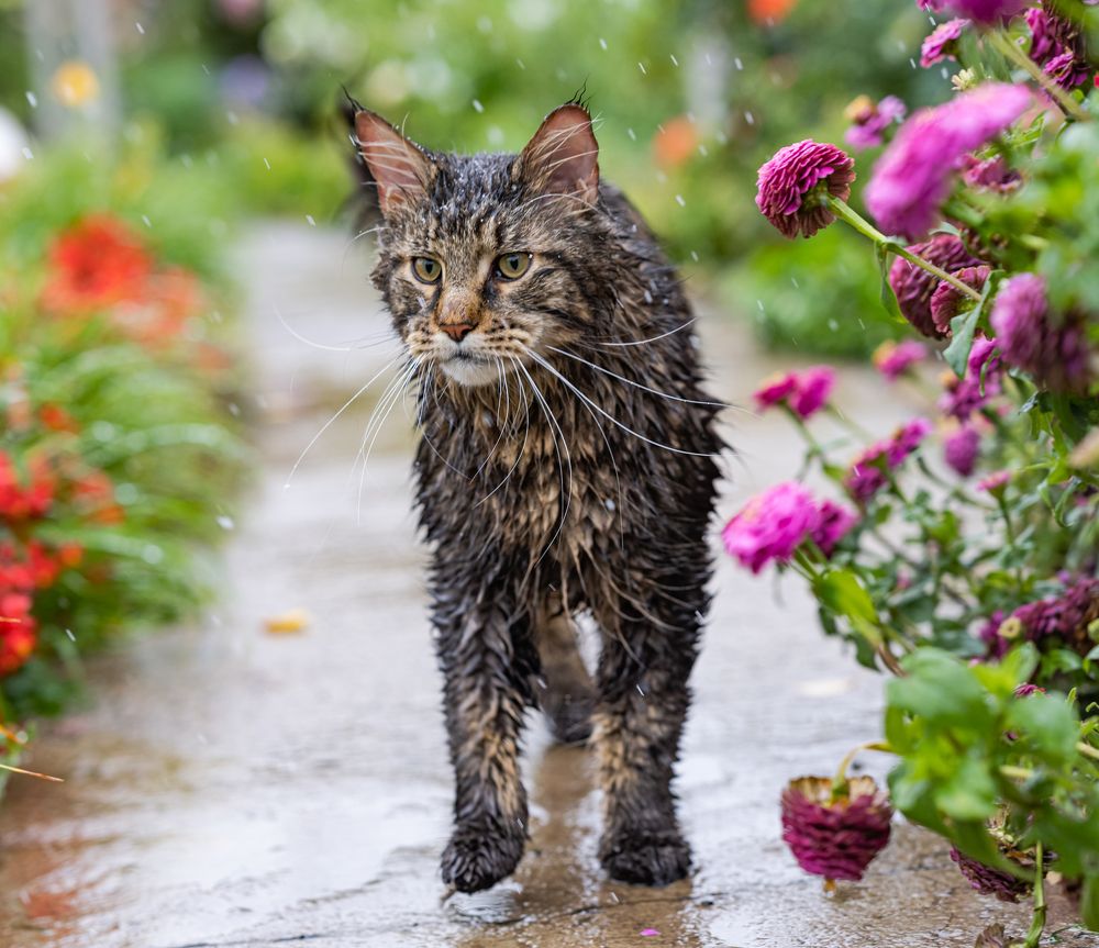 Photograph by NADEZHDA PELYMSKAIA