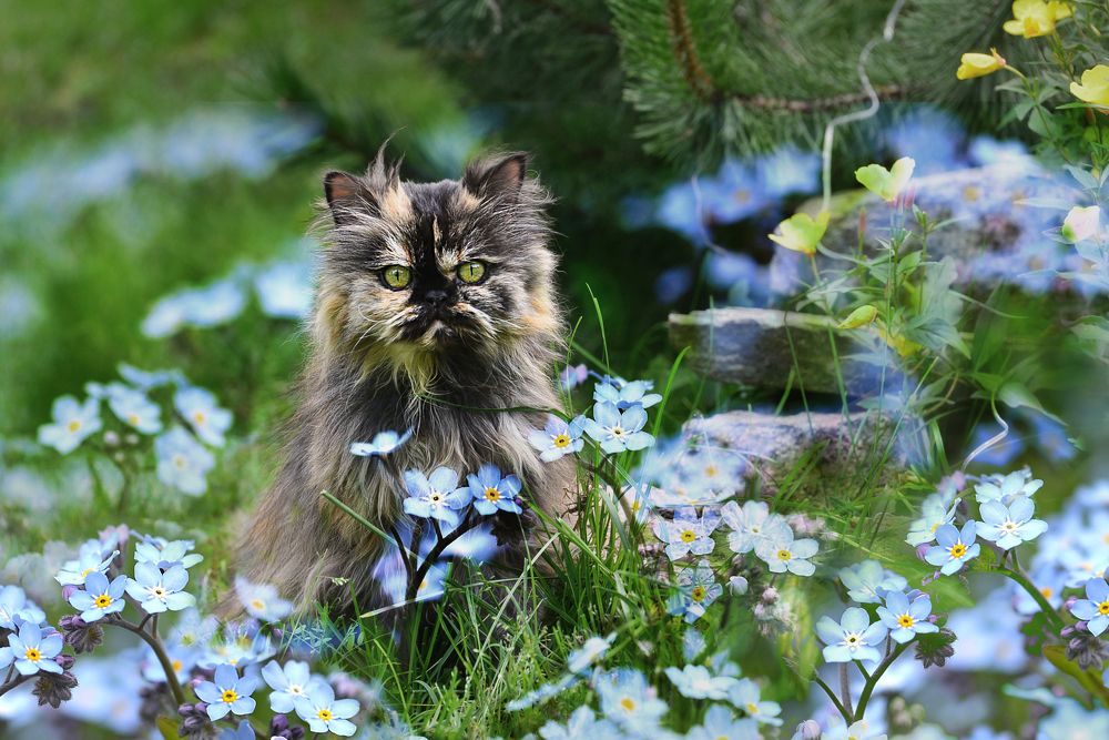 Photograph by NADEZHDA PELYMSKAIA