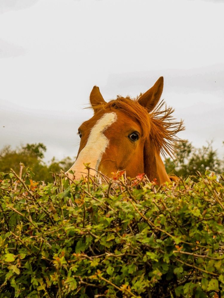 Photograph by Оксана Хабарова