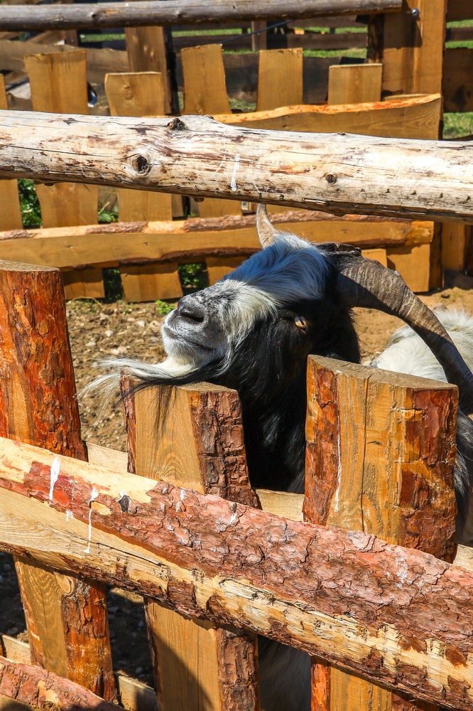 Photograph by Оксана Хабарова