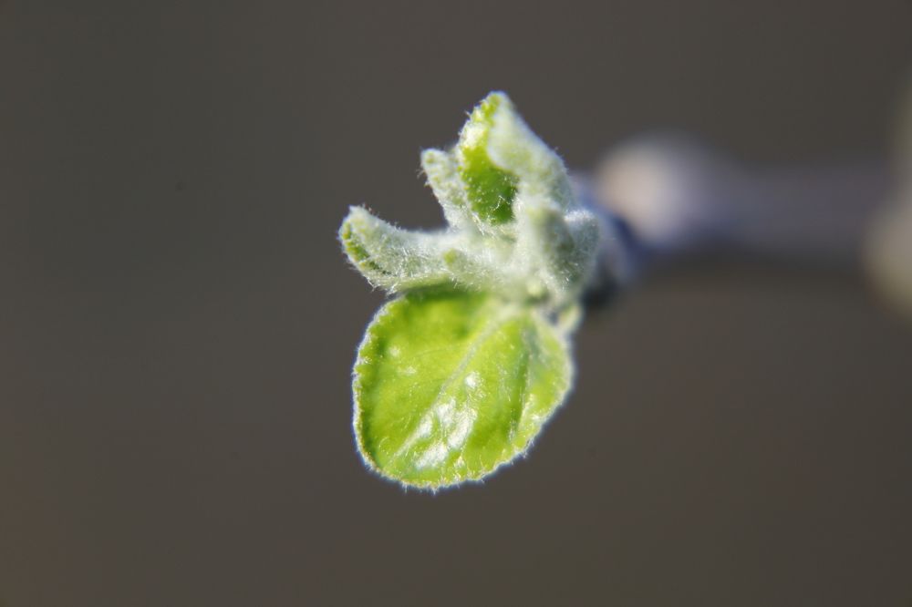 Photograph by Uktam Djalalov