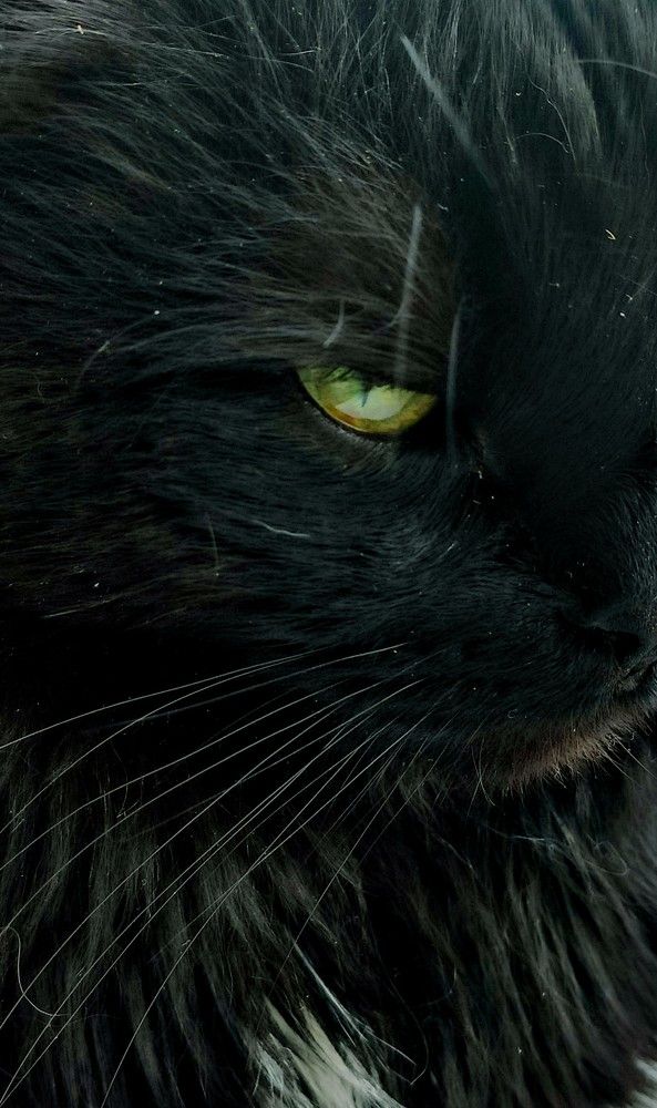 Photograph by Ведерникова Анна Андреевна