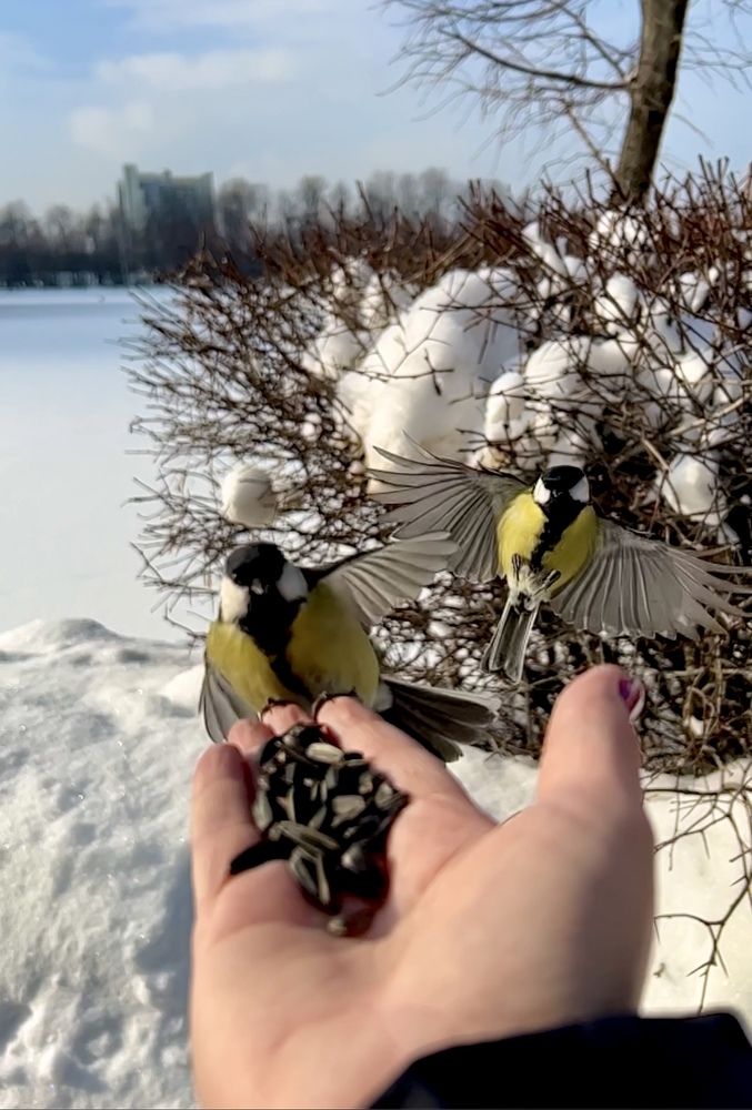 Photograph by Ирина