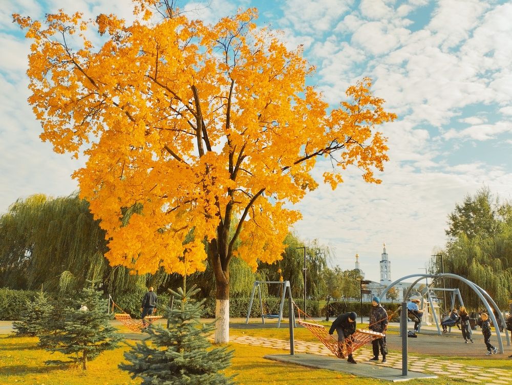 Photograph by Надежда Болтунова