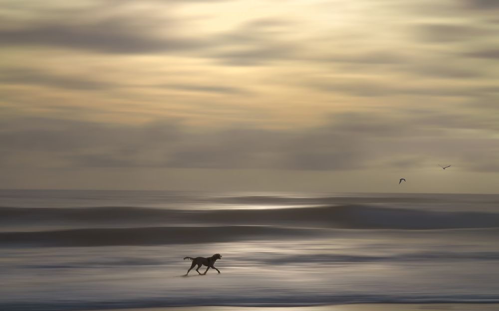 Photograph by Linda Persson