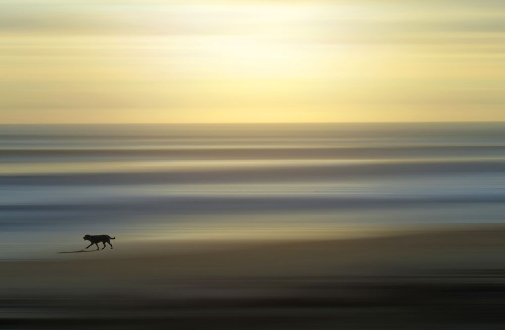 Photograph by Linda Persson