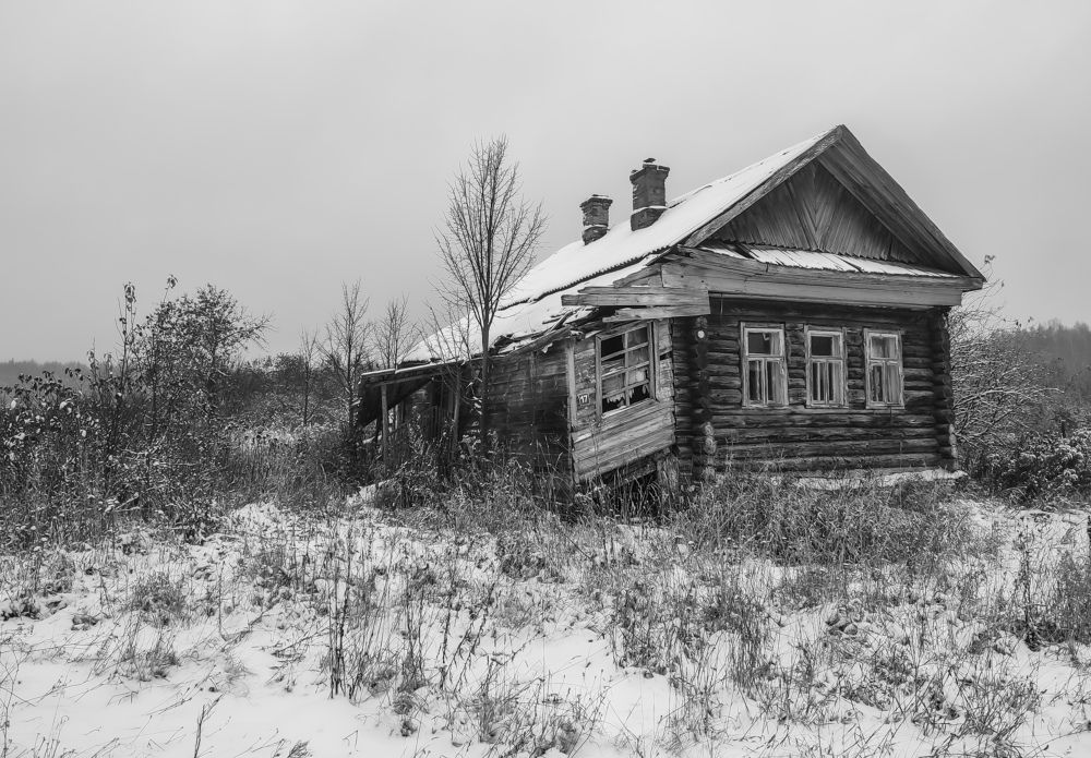 Photograph by Алёна Пшеленская