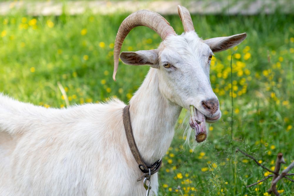 Фотография автора Валерий Бычков