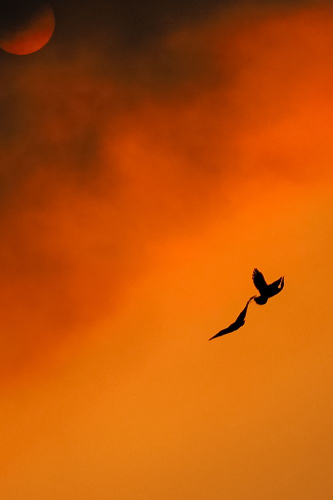 Фотография автора Барсуков Владимир