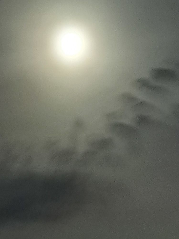 Фотография автора gustavo pecelis