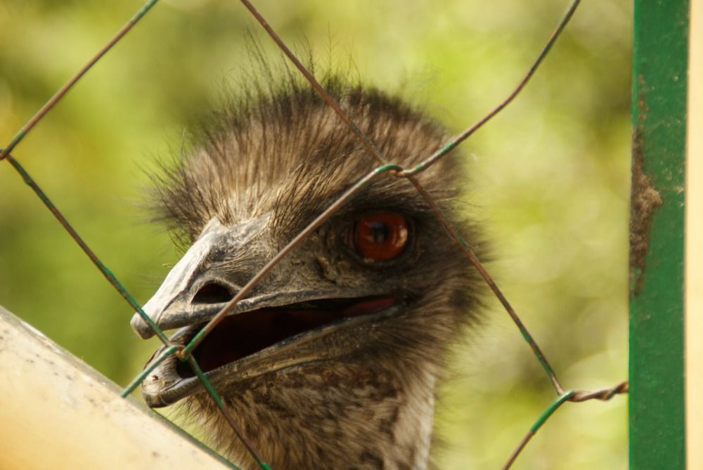 Photograph by Nadin Gaaze