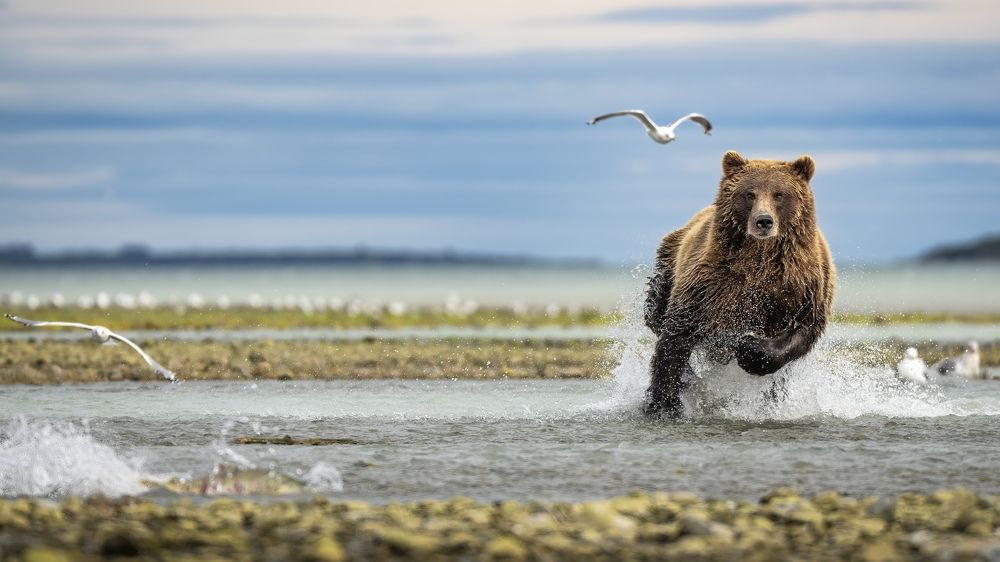 Photograph by Merche Llobera