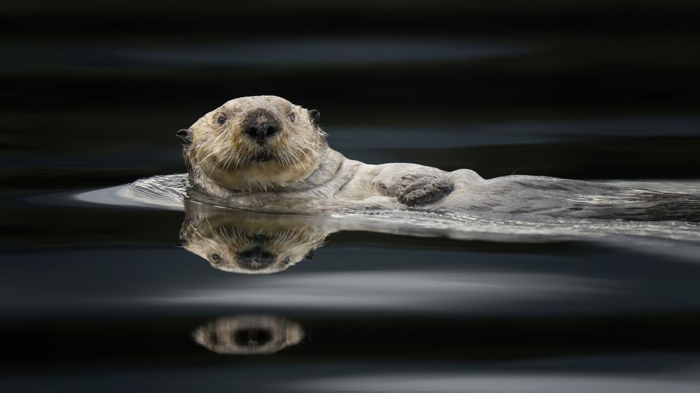 Photograph by Merche Llobera