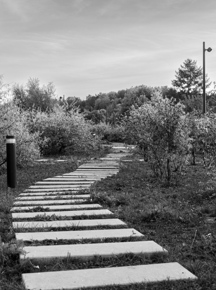 Photograph by Natalia Artamonova