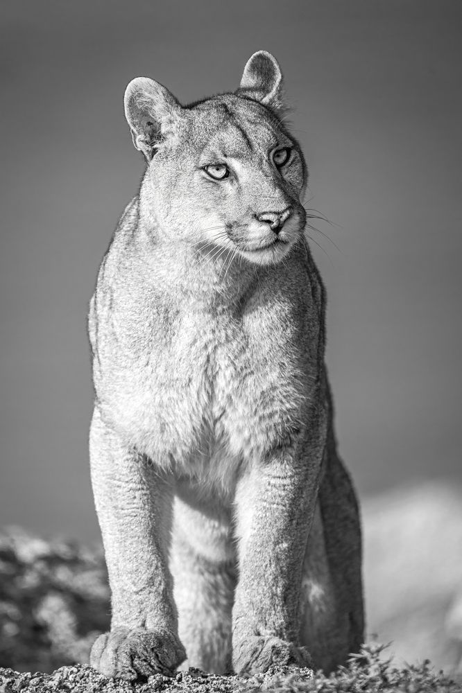 Photograph by Merche Llobera