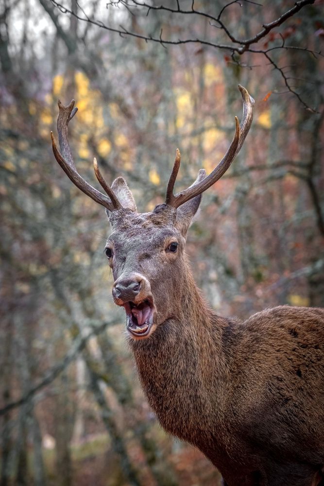Photograph by Полякова Наталия