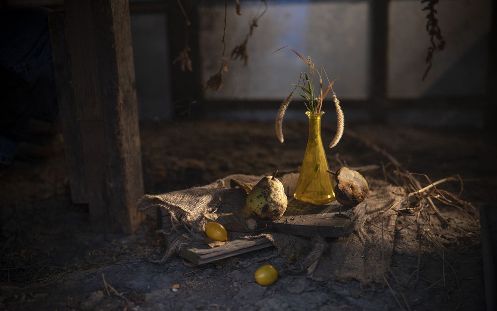 Photograph by Ангелина