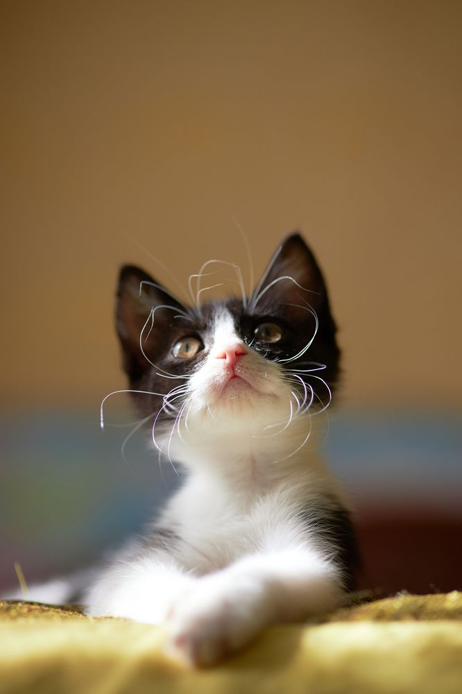 Photograph by Франгони Владимир