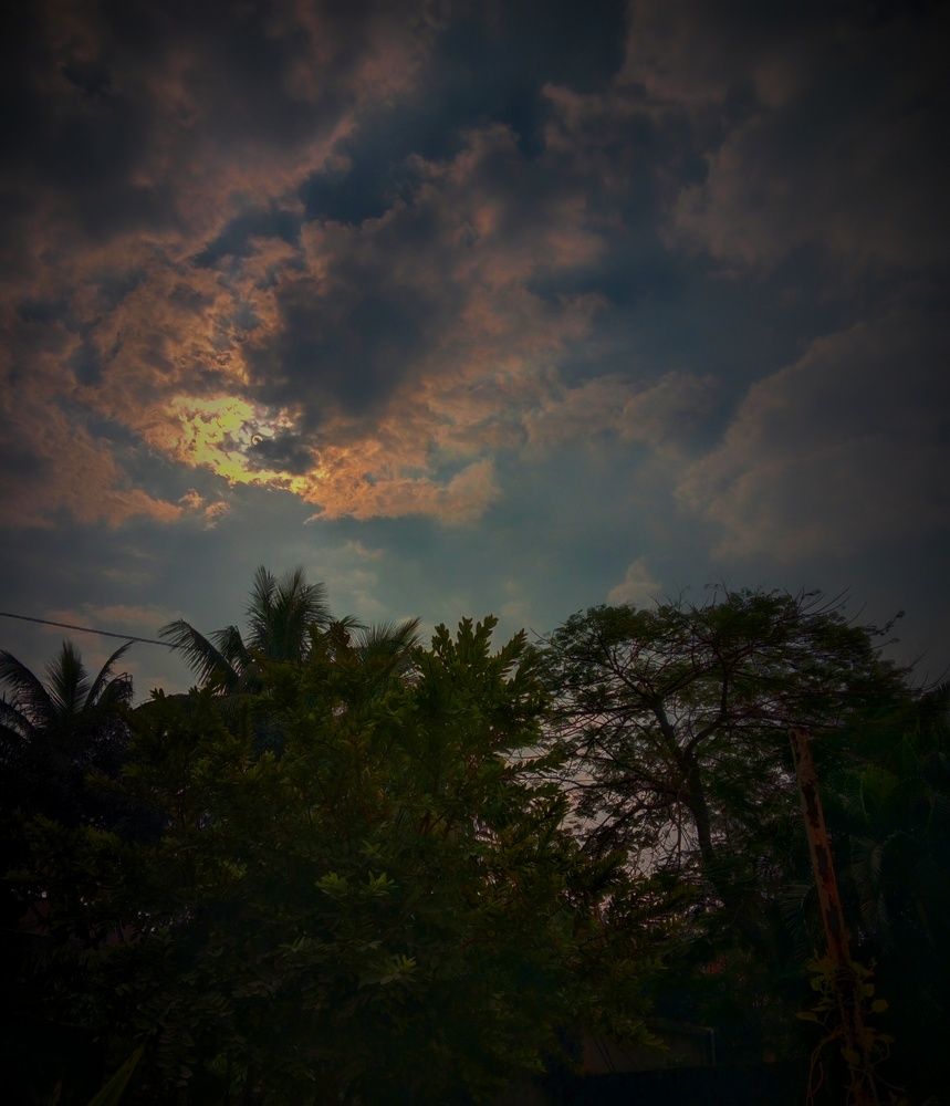 Photo #9787440
