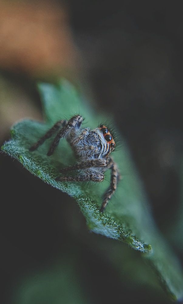 Photograph by Ольга Веселова