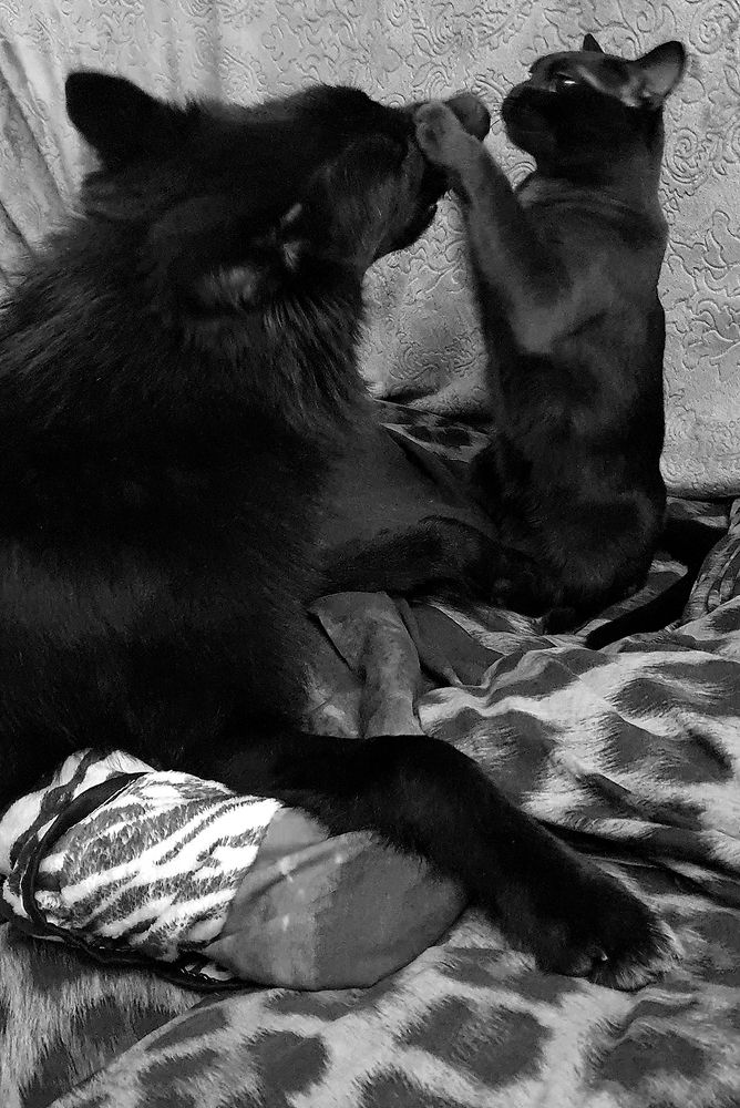 Фотография автора Надежда Лисицына