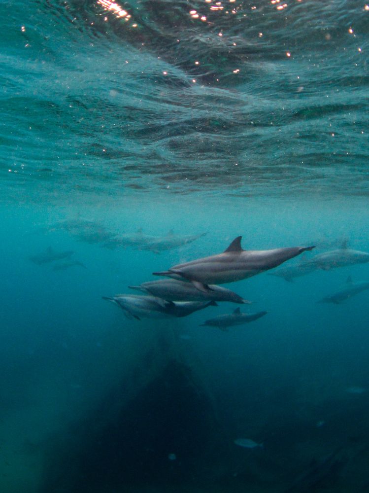 Photograph by Victor Bezerra