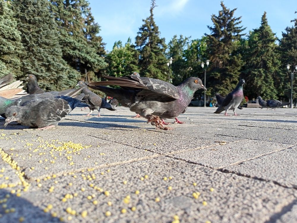 Photograph by Ольга Попченко