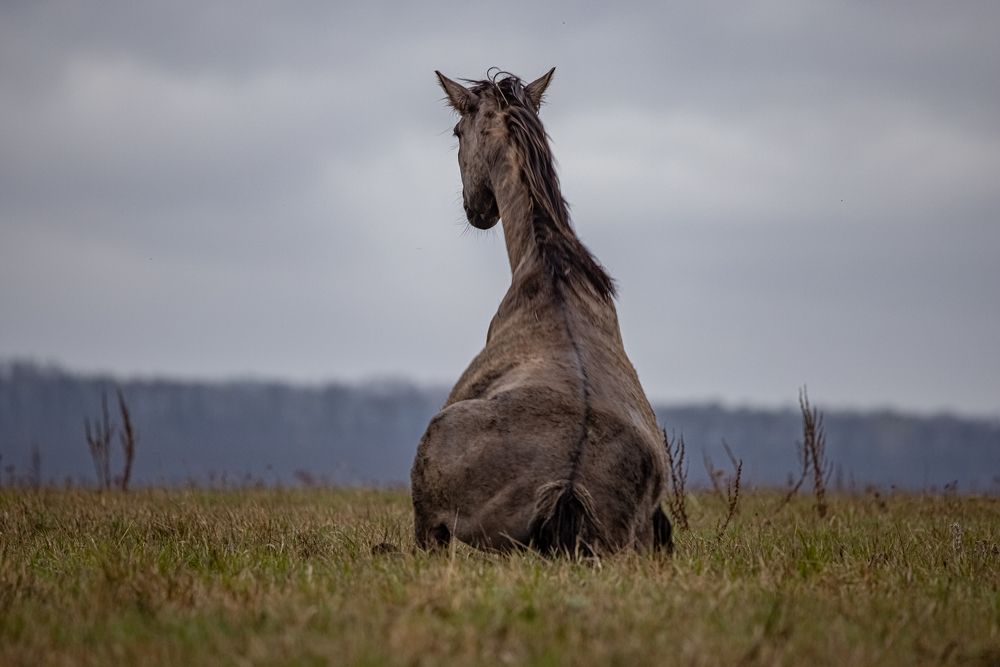 Photograph by Полякова Наталия