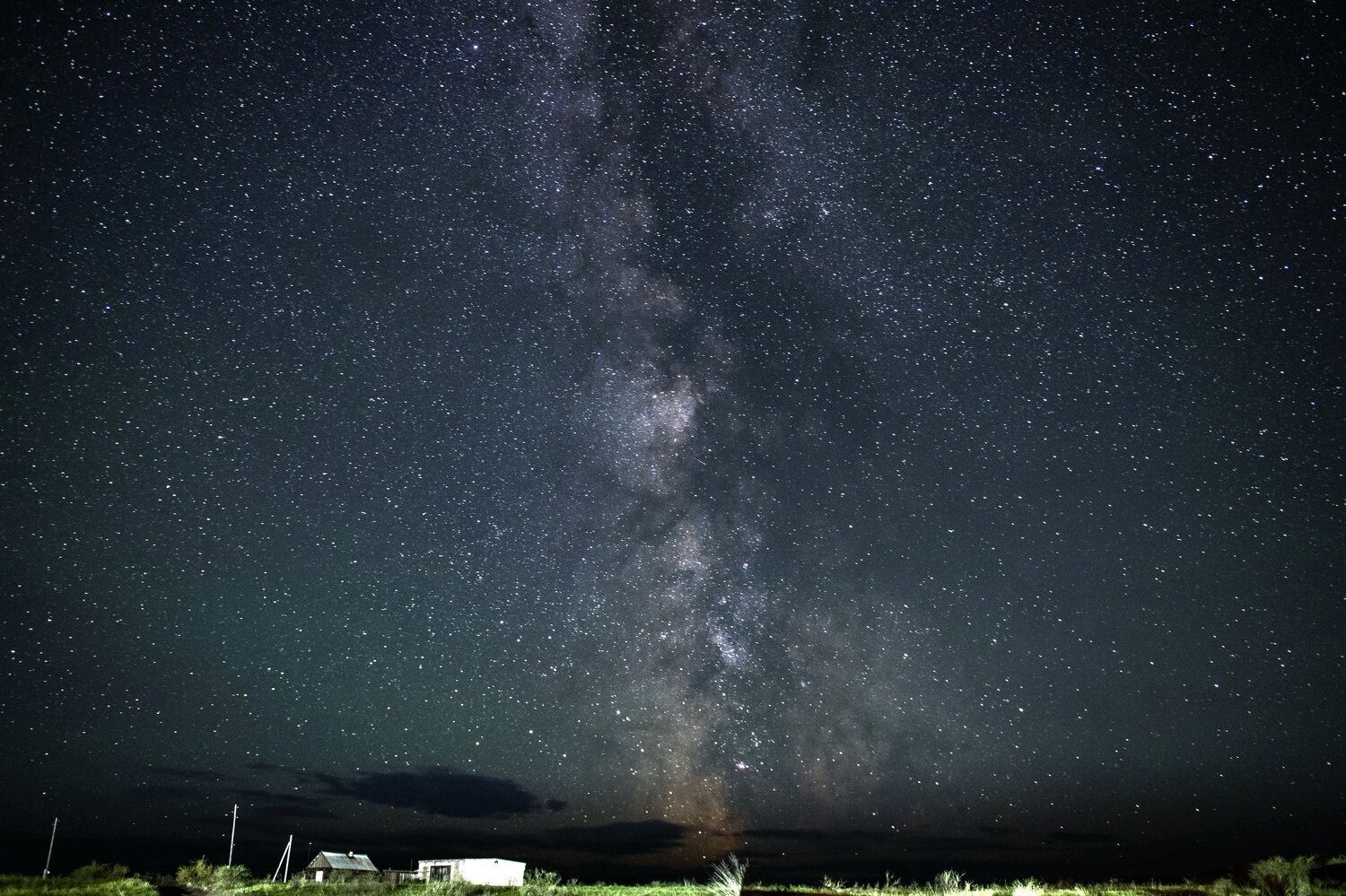 Photo #9787673