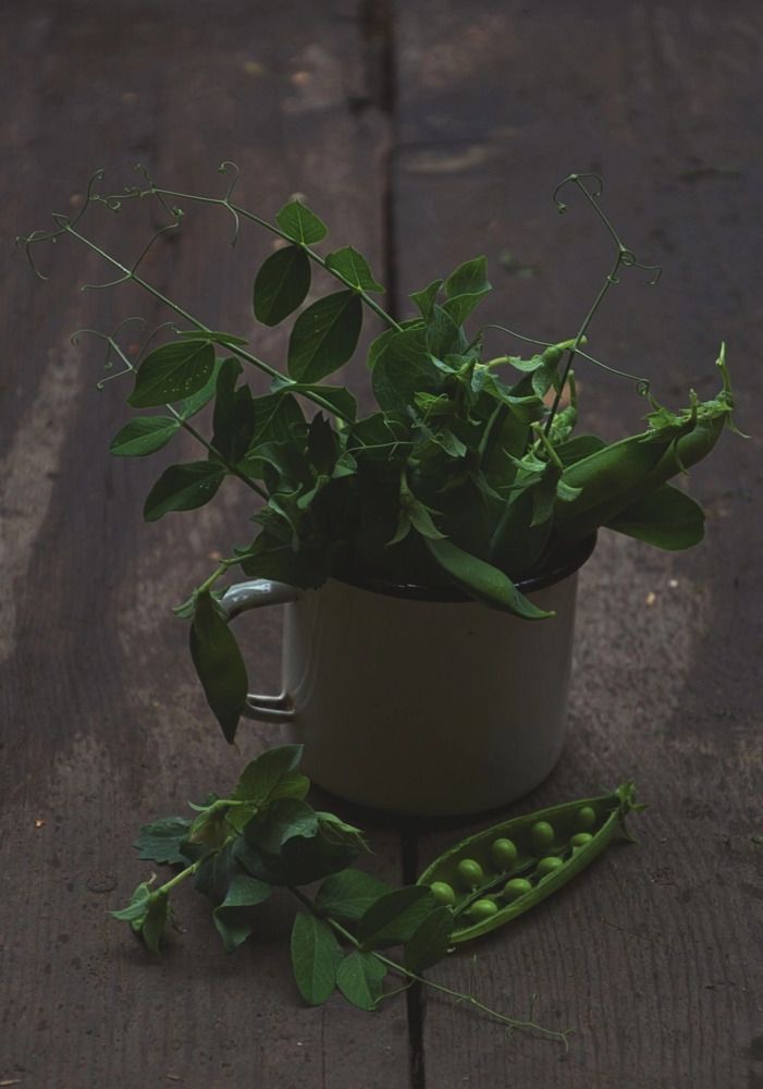 Photograph by Мария Зыкова