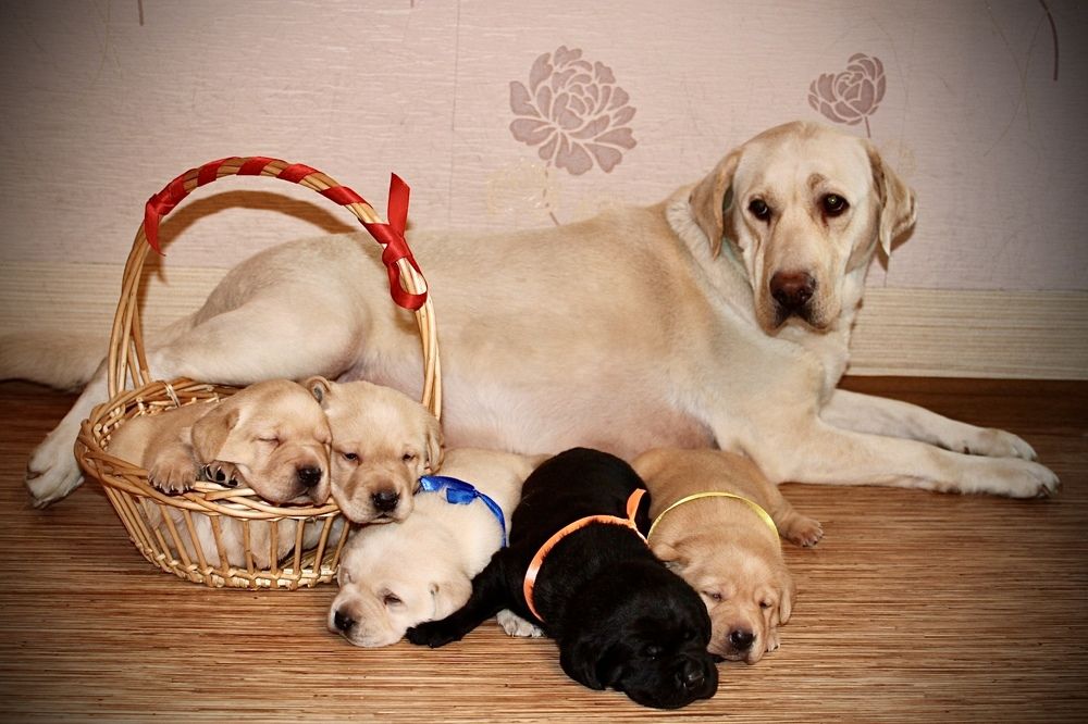 Photograph by Марина Захарова