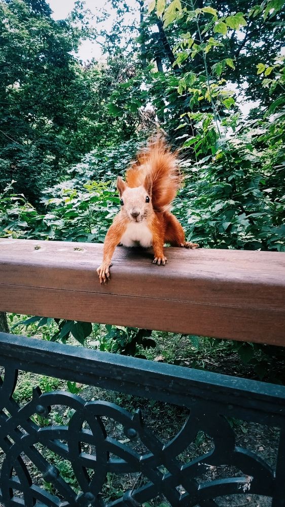 Photograph by Даша Качаун