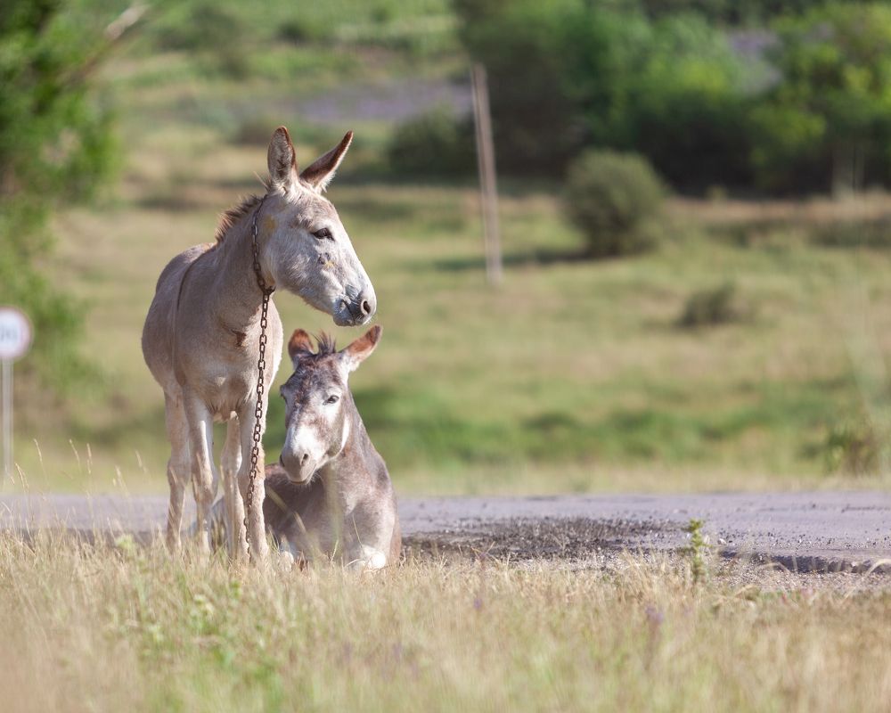 Photograph by PerfectM1nd R