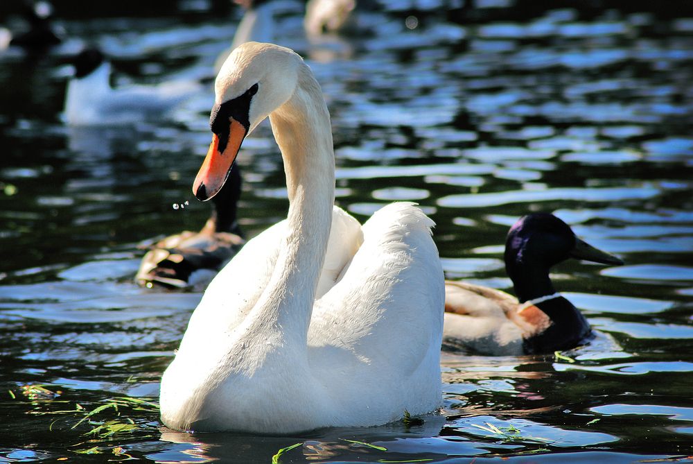 Фотография автора Анна Гаврилова